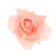 thumbnail image 3 of Cabeza de flor artificial Colco 10 piezas Seda 10cm, 3 of 8