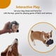 thumbnail image 5 of Squeaky dog toy, chew toy for dogs, hedgehog design, durable interactive toy for small, medium, and large dogs., 5 of 5