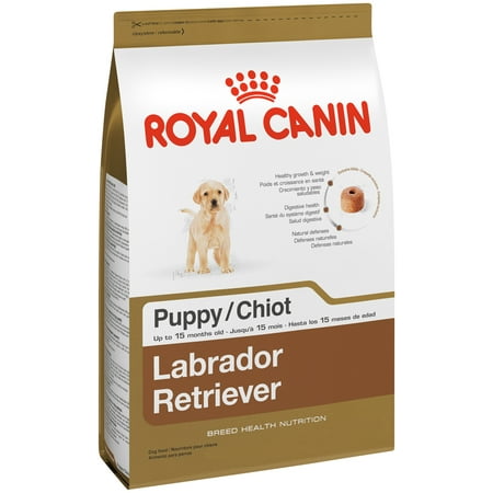 canin royal labrador puppy dry retriever dog lb