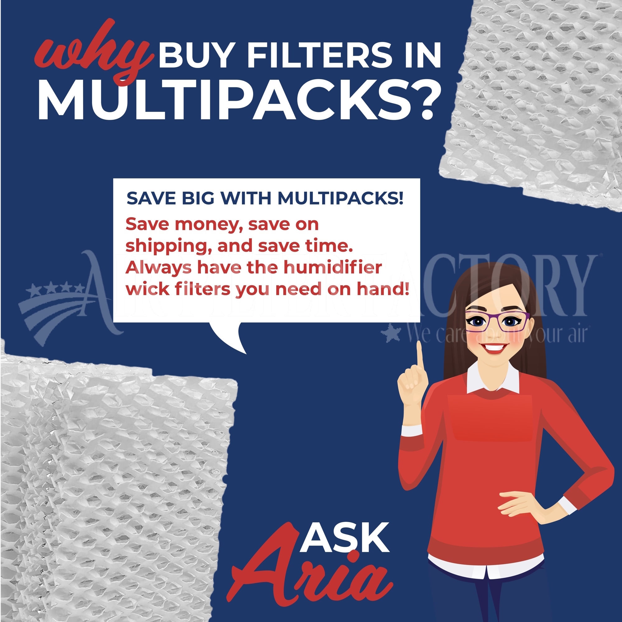 Air Filter Factory Replacement for Emerson EF2, MA0600, 800, 8000, Essick Air MA0800 Humidifier Filters 2-Pack