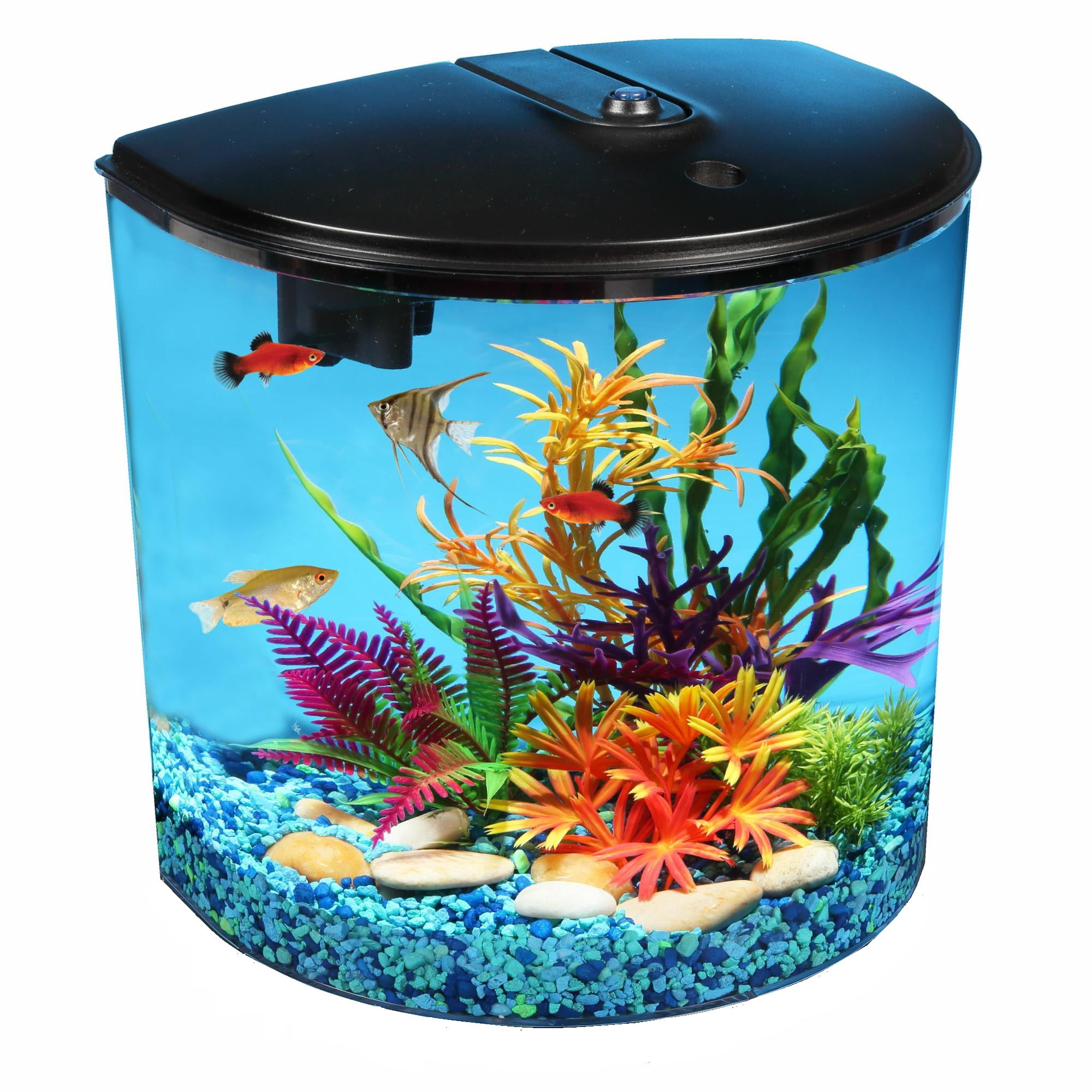 Hawkeye 3.5Gallon Aquarium Starter Kit