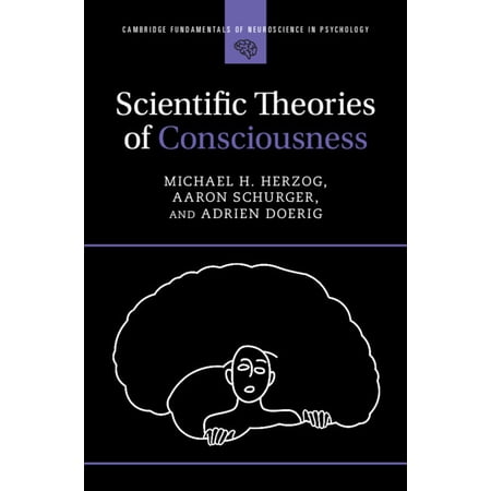 Cambridge Fundamentals of Neuroscience i Scientific Theories of Consciousness (Paperback)