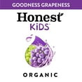 thumbnail image 4 of Honest Kids Organic Goodness Grapeness Grape Fruit Juice, 6.75 fl oz, 8 Pouches, 4 of 15