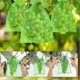 thumbnail image 5 of 100 Count Organza Mesh Bags 30x20cm & 23x17cm with Drawstring for Fruit Protection Against Pests and Birds, 5 of 5