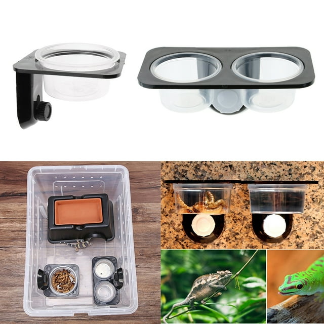 Alimentador De Tazón De Alimentación De Agua Para Alimentos Con De 2 Piezas Con Ventosa Salvador Dali Cuenco de comida de agua para reptiles