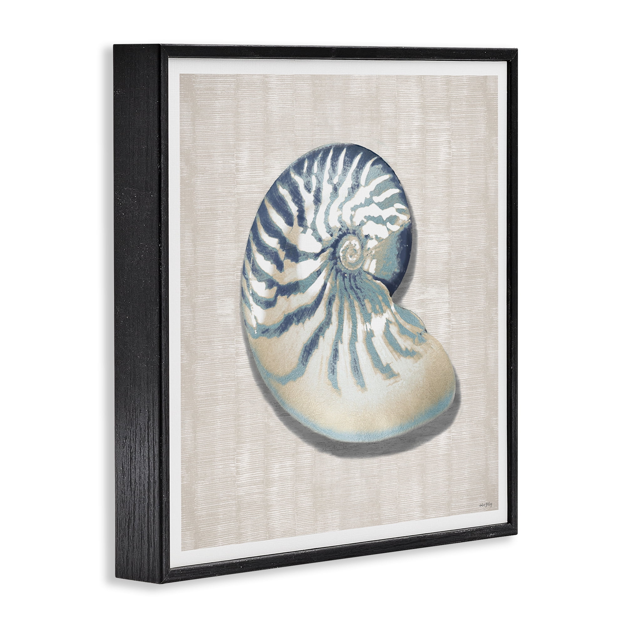 Stupell Industries Nautilus Shell in Misty Blue Black Framed Giclee Art, design by Amber Sterling