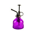 thumbnail image 1 of Embossed Glass Watering Can with Fine Mist Sprayer for Gentle Hydration and Decorative Garden Vase, 1 of 3