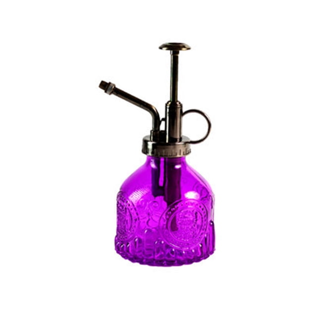 Embossed Glass Watering Can with Fine Mist Sprayer for Gentle Hydration and Decorative Garden Vase