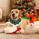 thumbnail image 5 of Christmas Cats Collar Scarf Braideds Decoration Necklace Bow Tie Bells Pet Winter Accessories Necklace Holiday Decoration, 5 of 6