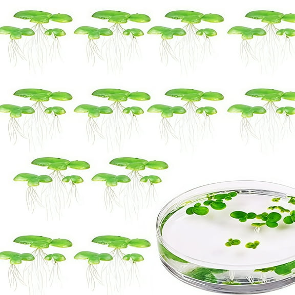 2 Pack Synthetic Floating Duckweed For Aquarium Decoration Realistic Water Surfaces Plant Simulation