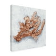 thumbnail image 2 of Ethan Harper 'Coral Display II' Canvas Art, 2 of 3