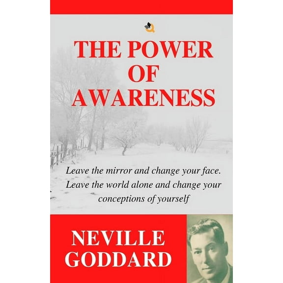 The Power of Awareness, (Paperback)
