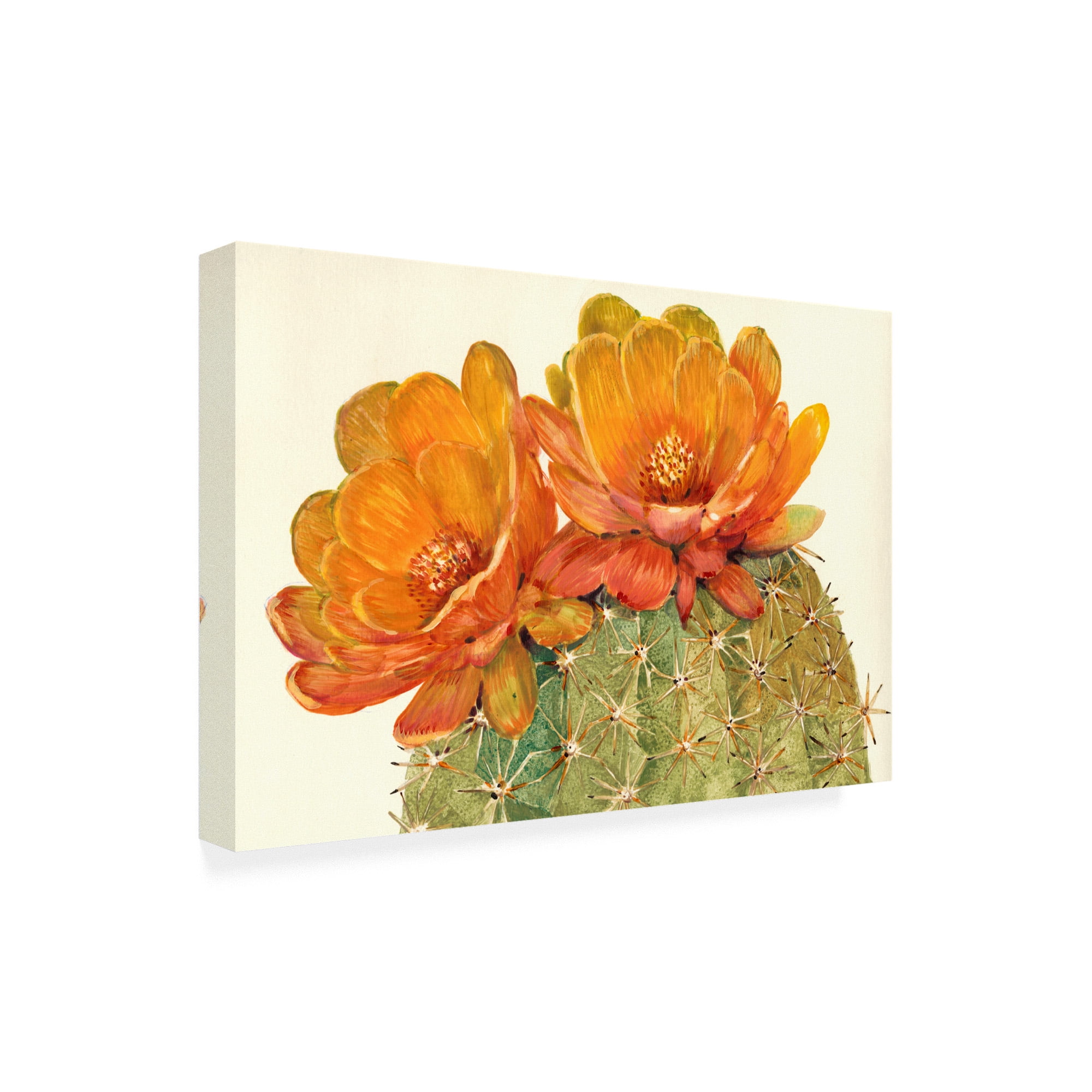 Trademark Fine Art 'Cactus Blossoms II' Canvas Art by Tim OToole
