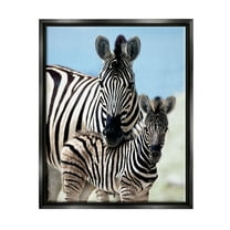 Stupell Industries Uplifting Zebra Family Mother Child Savanna Animals Photograph Jet Black Floating Framed Canvas Print Wall Art, Design by Danita Delimont