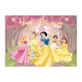 thumbnail image 5 of Fondos de vinilo para fiestas de cumpleaños de princesas de Disney, decoraciones para baby shower, suministros para baby shower, Cenicienta, Sofía, Blancanieves, 5 of 5