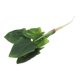 thumbnail image 5 of unbranded Espinaca Simulada Para De Ambiente Con Apariencia Natural Y Fácil Mantenimiento, 5 of 8