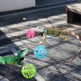 thumbnail image 5 of 7 Pack Jouet Dragon Barbu Kring Ball, Jouet Lézard Reptile Balle, Couleurs Aléatoires, 5 of 5