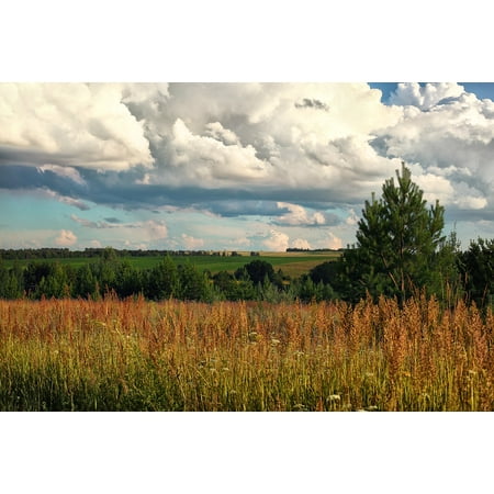 Russian Landscape - Peel-n-Stick Poster of Landscape Udmurtia Wheat Fields Russia Nature Poster 24x16 Adhesive Sticker Poster Print
