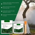 thumbnail image 5 of Tree Whitewash Paint for Trunks, 300g Ready-to-Use Tree Protector, Prevents Sunburn, Cracking & Insects, Long-Lasting for Fruit & Garden Trees (3 Pcs), 5 of 7