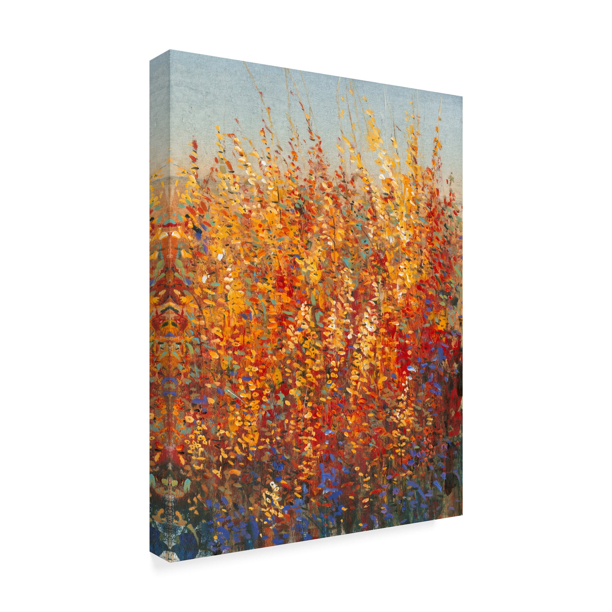 Trademark Fine Art 'High Desert Blossoms I' Canvas Art by Tim OToole