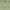 Green, variant on Rugs.com Lattice Shag Collection Rug – 6 Ft Runner Green Shag Rug Perfect For Hallways, Entryways