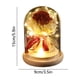 thumbnail image 3 of Farol de Ornamentos de Rosas | Cubierta de vidrio de flores secas inmortales | Luz LED romántica | Regalo de San Valentín Duradero | Marrón Blanco | 6,1x3,35 pulgadas | Cinta decorativa, 3 of 6