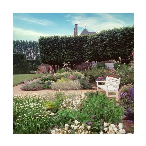 Canvas Wall Art - Alan Blaustein 'French Jardin No. 27' Wall Art for Living Room, Bedroom, or Office Décor by Trademark Fine Art - 14 x 14 Inches