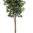 thumbnail image 3 of Nearly Natural 96" Ficus Tree with Over 1500 Leaves in Green/Black, 3 of 3