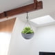 thumbnail image 5 of Ganchos de techo para plantas colgantes, 4 Uds. Colgadores de plantas de techo de 2,5 pulgadas para interiores, ganchos para colgar plantas a prueba de óxido, montaje en pared pesado, 5 of 5