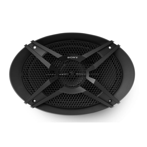 Sony XSR69 6x9