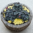 thumbnail image 3 of Sunsparkler® Blue Elf Sedum - Stonecrop-Magic in the Sun- Live Plant - Quart Pot, 3 of 3