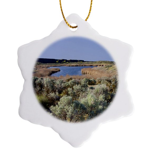 3drose, Wa, Othello, Columbia Nwr, Cattail Lake - Us48 Jwi2928 - Jamie and Judy Wild, 3 inch Snowflake Porcelain Ornament