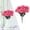 A*2, variant on 7 Heads Artificial Carnation Flowers, Aetherz Fake Flower with Stems Plastic Carnation Bouquet Faux Fake Silk Carnations for Mothers Day Wedding Home Centerpieces Arrangements