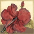 thumbnail image 2 of Goldberger, Jennifer 20x20 White Modern Wood Framed Museum Art Print Titled - Cropped Sophisticated Hibiscus III, 2 of 4