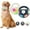 White + Black A does not include tennis balls, variant on The Mellow Dog Calming Ball, Rubber with Handle Dog Toy, Interactive Ball for Dogs Playing with Handle, Toss and Fetch Play Interactive for Medium Large Breeds