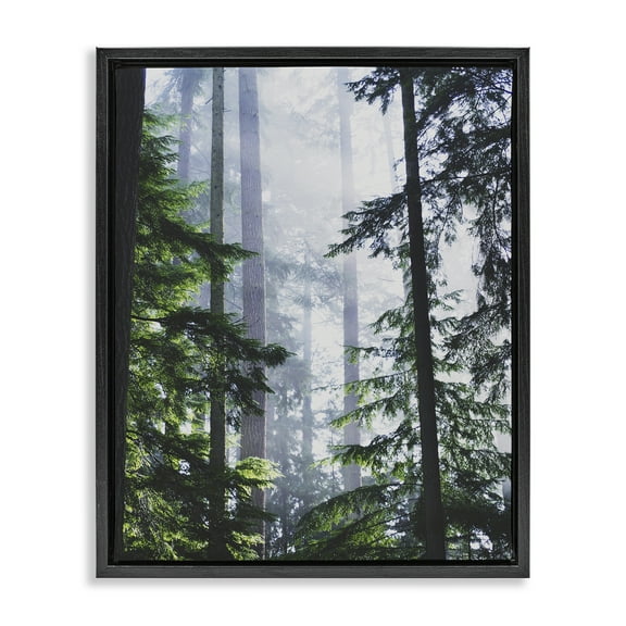 Stupell Industries Foggy Forest View Landscape Photography Black Floater Framed Art Print Wall Art, 17 x 21
