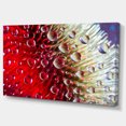 thumbnail image 2 of Fleur Rouge Colorée dans des Gouttes de Pluie - Grande Oeuvre Florale sur Toile, 2 of 3