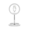 thumbnail image 1 of Jm01 11 Inch Single Position Fill Light Beauty Selfie Desktop Bracket Live Broadcast Integrated Floor Led Light, 1 of 1