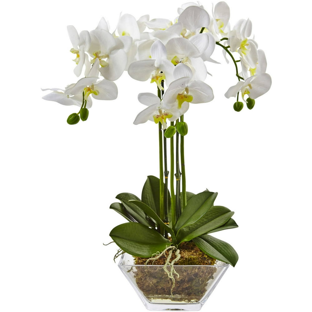 Nearly Natural Triple Phalaenopsis Orchid in Glass Vase