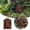 door handle, variant on Outdoor Miniature Fairy Door For Tree Decoration, Adds Whimsical Charm To Gardens Yards Or Patios, Miniature Fairy Door With Intricate Metal Accents And Decorative Scroll-Design