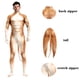 thumbnail image 5 of Disfraz de Halloween para hombre, elástico, para carnaval, fiesta, fitness, animal, mono completo con cola, disfraces completos para mujer, traje Zentai para adultos, 5 of 5