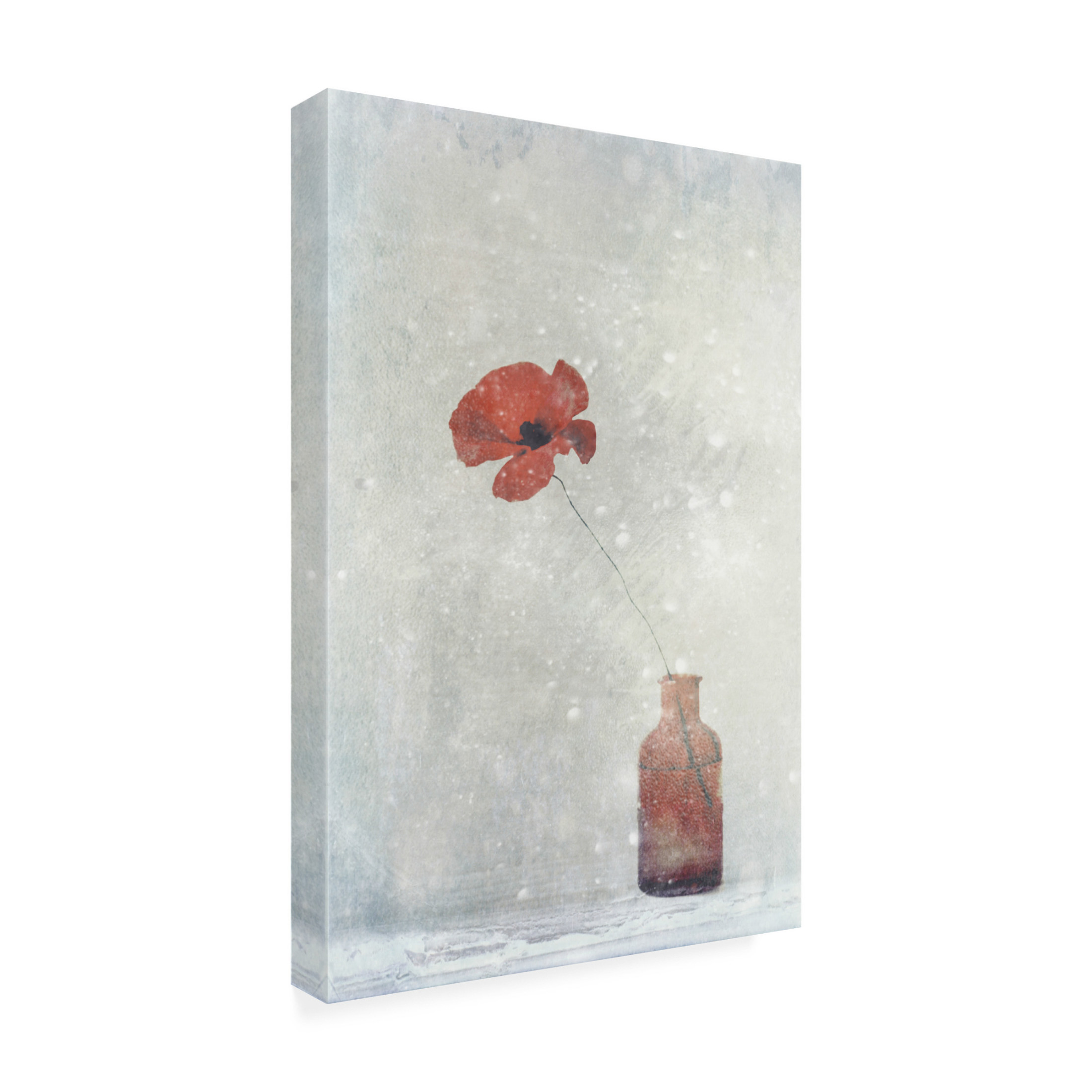 Canvas Wall Art - Delphine Devos 'Winter Poppy' Wall Art for Living Room, Bedroom, or Office Décor by Trademark Fine Art - 12 x 19 Inches