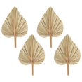 thumbnail image 2 of 4Pcs Dried Palm Leaves Dried Palm Fans Bohemian Dried Palm Spears Artificial Plants Palm Leaves Trop, 2 of 5