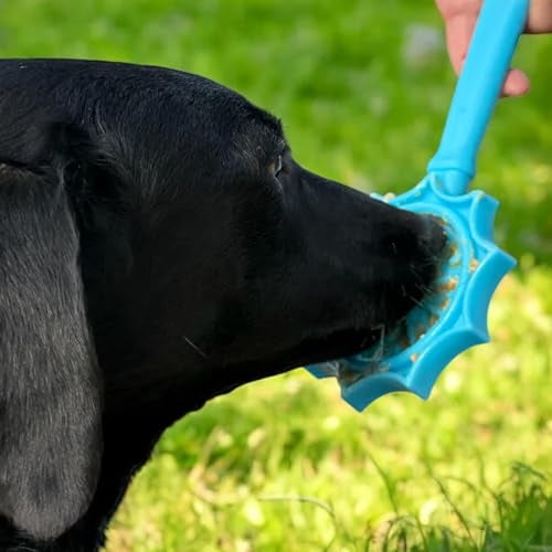 SodaPup Flower Lick Stick Hand-held Interactive Enrichment Toy, Blue