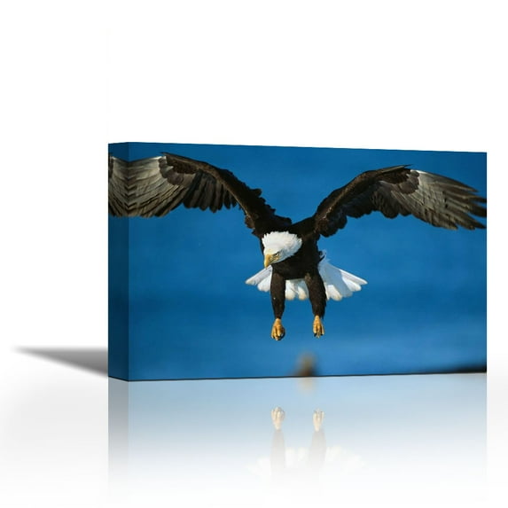 Bald Eagle flying, Kenai Peninsula, Alaska - Contemporary Fine Art Giclee on Canvas Gallery Wrap - wall décor - Art painting - 36 x 24 Inch - Ready to Hang