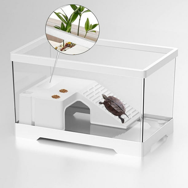 Tanque de tortuga para acuario, caja de hábitat para reptiles, terrario de tortuga en reposo para escalada resistente, hábitat de tortuga, decoración medio