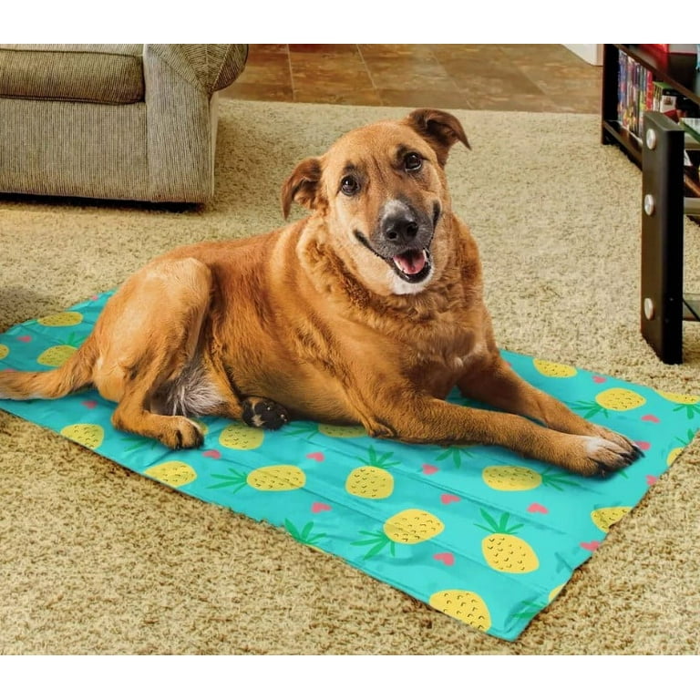 Unique Petz Cat and Dog Cooling Mat 24 X36 Pineapple Themed Reversible Indoor Outdoor use