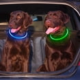 thumbnail image 6 of Miaocao 2 Packs Light Up Dog Collar, LED Dog Collar, USB Rechargeable Dog Lights for Night Walking, Adjustable Glow in The Dark Collars for Small Medium Large Dogs, Waterproof Safety Pets Lights, 6 of 7
