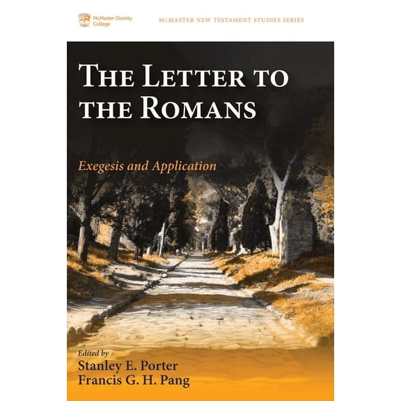 McMaster New Testament Studies: The Letter to the Romans (Paperback)