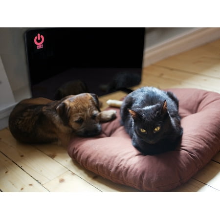 UPC: 0706069235260 | Cozy Products Dog Warmer Space Heater  Black  19 L x 13 W x 0.65 H